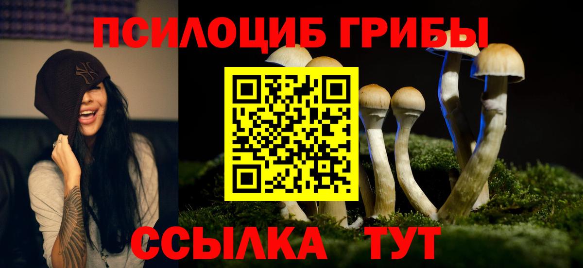Лыткарино  Псилоцибиновые грибы Magic Shrooms  Вход с VPN  Псилоцибиновые грибы Magic Shrooms 